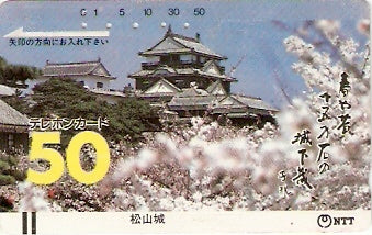 JAP-370-006