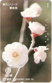 JAP-390-351