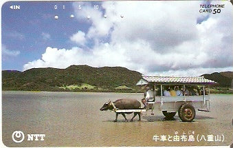 JAP-391-268