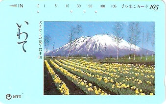 JAP-410-219