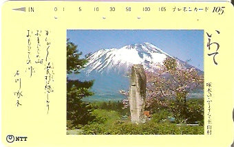 JAP-410-223
