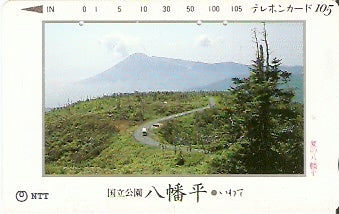 JAP-410-374