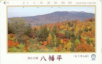 JAP-410-360