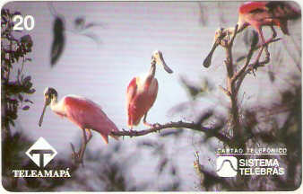 AP-003M - Culhereira