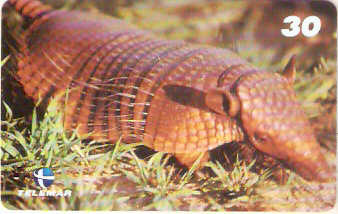 AP-055M - Tatu Peba