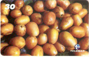 AP-077M - Taperebá