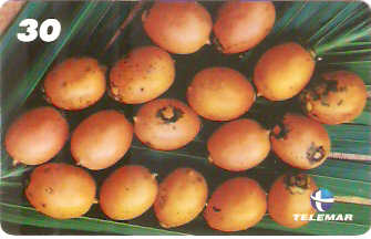 AP-078M - Tucumã