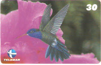 ES-057M - Beija-flores 2 - 2/4