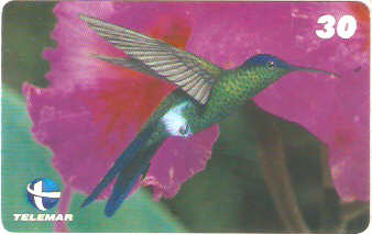 ES-058M - Beija-flores 2 - 3/4