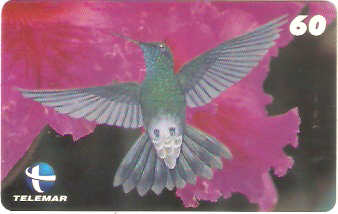 ES-059M - Beija-flores 2 - 4/4