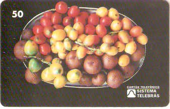 RR-011M - Pupunha e Buriti