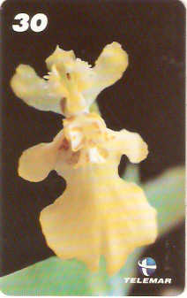 RR-032M - Orquídea - 1