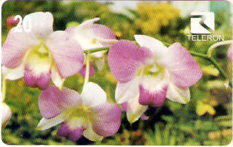 RO-042M - Flores da Amazônia - 3/4