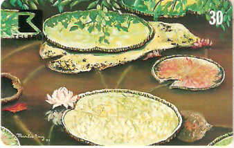 RO-045M - Artistas de Rondônia - 06/12