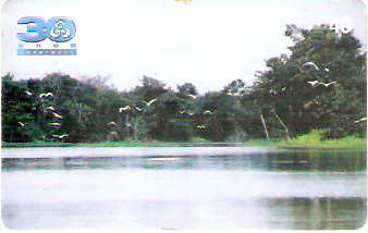 RO-224- Rede Amazônica - 3/8