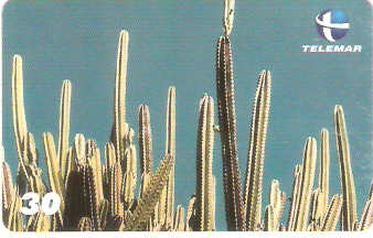 PI-075M - Mandacaru - I1