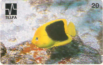 PB-003M - Xira Amarelo - B2