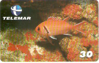 PB-028M - Mariquita