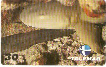 PB-029M - Cação Lixa