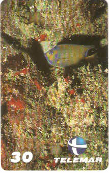 PB-031M - Ciliaris