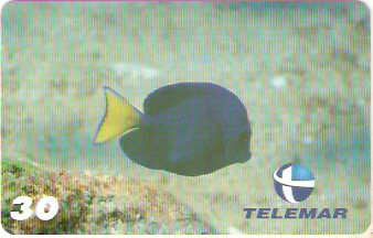 PB-034M - Cirurgião