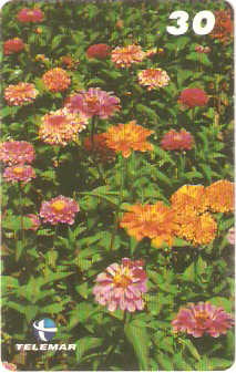 PB-044M - Primavera