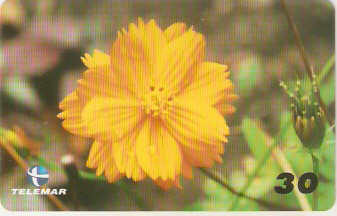 PB-051M - Flores - 01/15