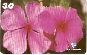 PB-054M - Flores - 04/15