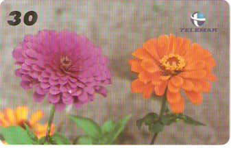 PB-056M - Flores - 06/15