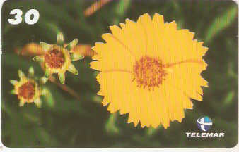 PB-058M - Flores - 08/15