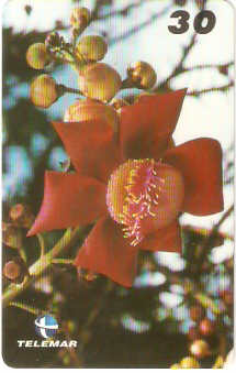 PB-059M - Flores - 09/15