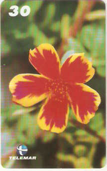 PB-055M - Flores - 05/15