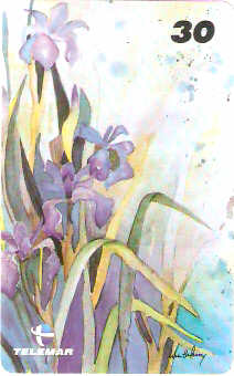 RJ-1063M - Flores - 03/16