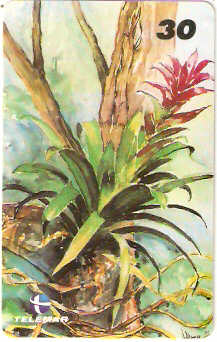 RJ-1064M - Flores - 04/16