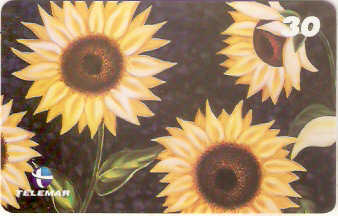 RJ-1061M - Flores - 01/16