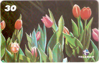 RJ-1062M - Flores - 02/16