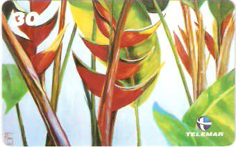 RJ-1065M - Flores - 05/16