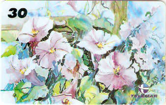 RJ-1066M - Flores - 06/16