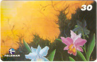 RJ-1071M - Flores - 11/16