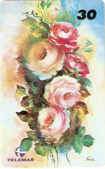 RJ-1076M - Flores - 16/16