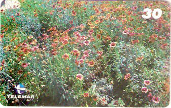 RJ-1079M - Primavera - 3/4