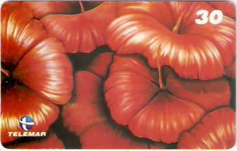 RJ-1072M - Flores - 12/16