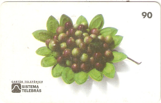 RR-010 - Caçari