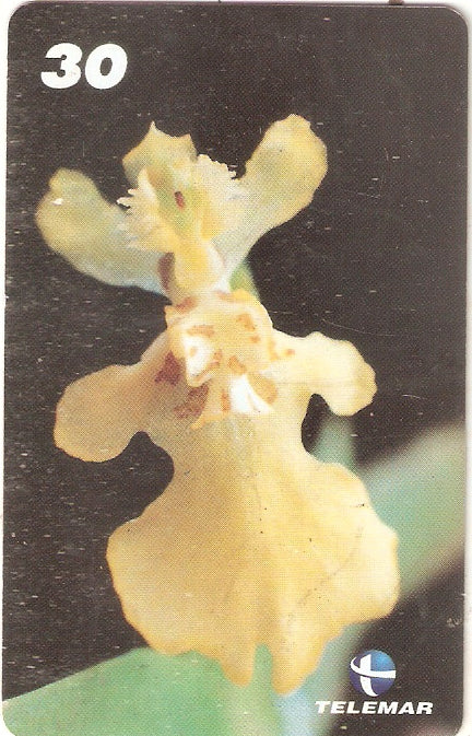 RR-032 - Orquídea - 1