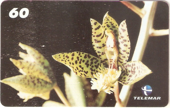 RR-033 - Orquídea - 2