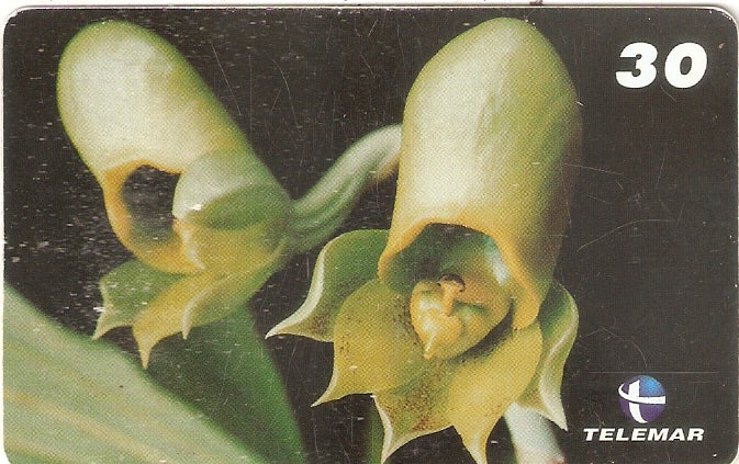 RR-054 - Orquídea de Roraima