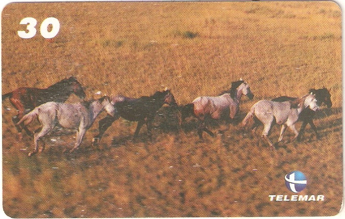 RR-057 - Cavalos Lavradeiros