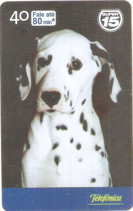 SP-1952 - Dia do Cão - 04/10