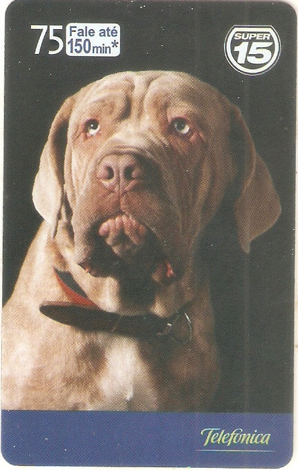 SP-1956 - Dia do Cão - 08/10