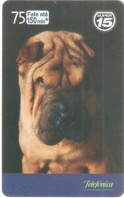 SP-1957 - Dia do Cão - 09/10